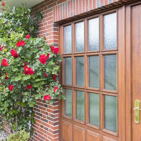 Eg Links Id 271 Apartament